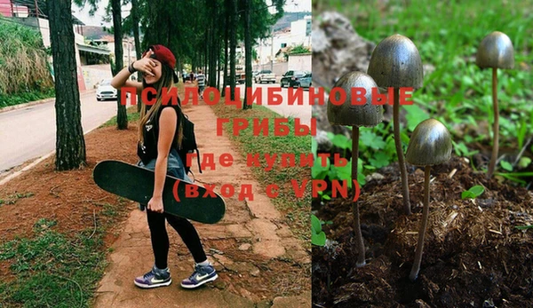 синтетический гашиш Медвежьегорск