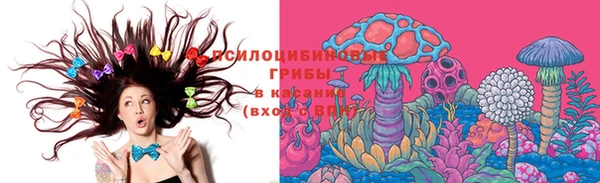 синтетический гашиш Медвежьегорск