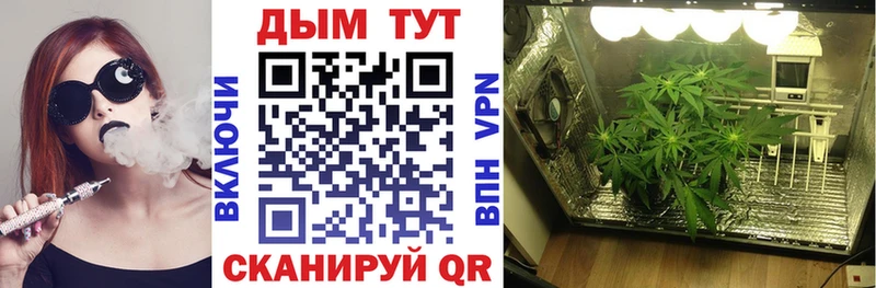 Купить Кубинка Бошки марихуана Bruce Banner